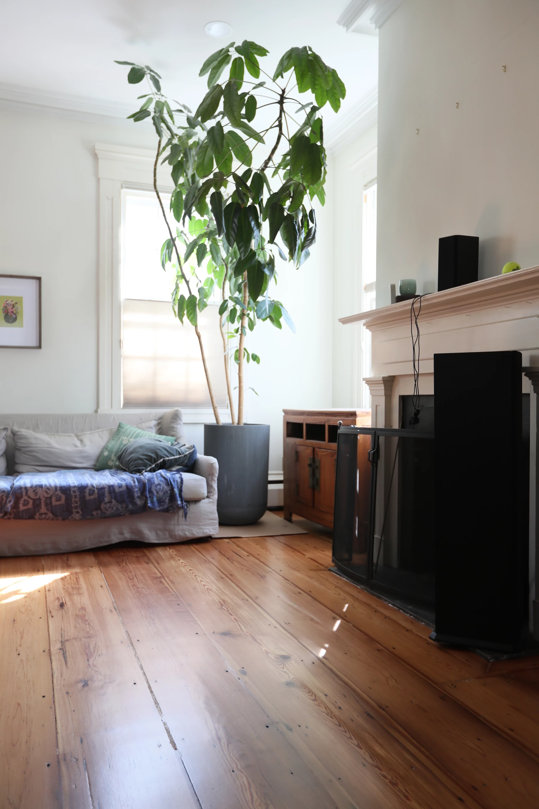 <h2 dir="ltr">Pricing for Hardwood Services</h2>